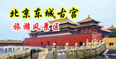 插进逼逼视频中国北京-东城古宫旅游风景区